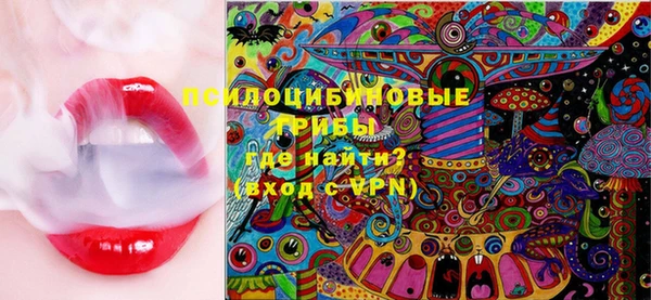 хмурый Алзамай