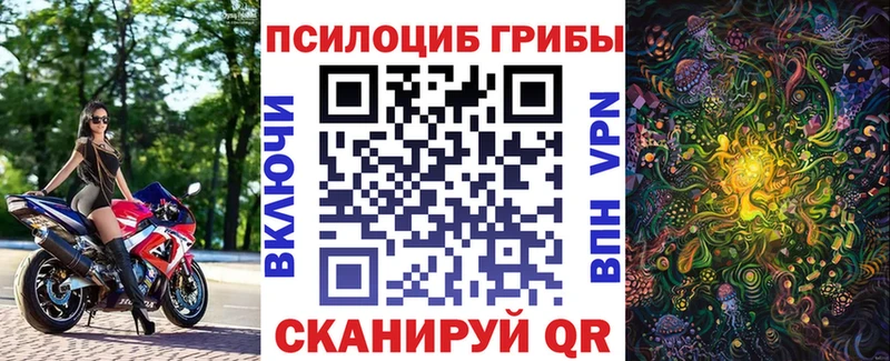 Галлюциногенные грибы Psilocybe  Аркадак 
