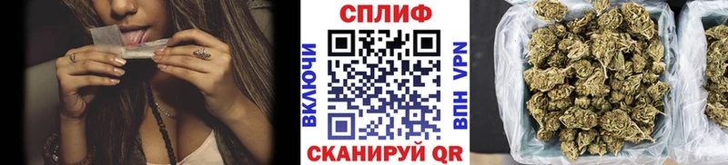 где можно купить наркотик  blacksprut онион  Шишки марихуана план  Аркадак 